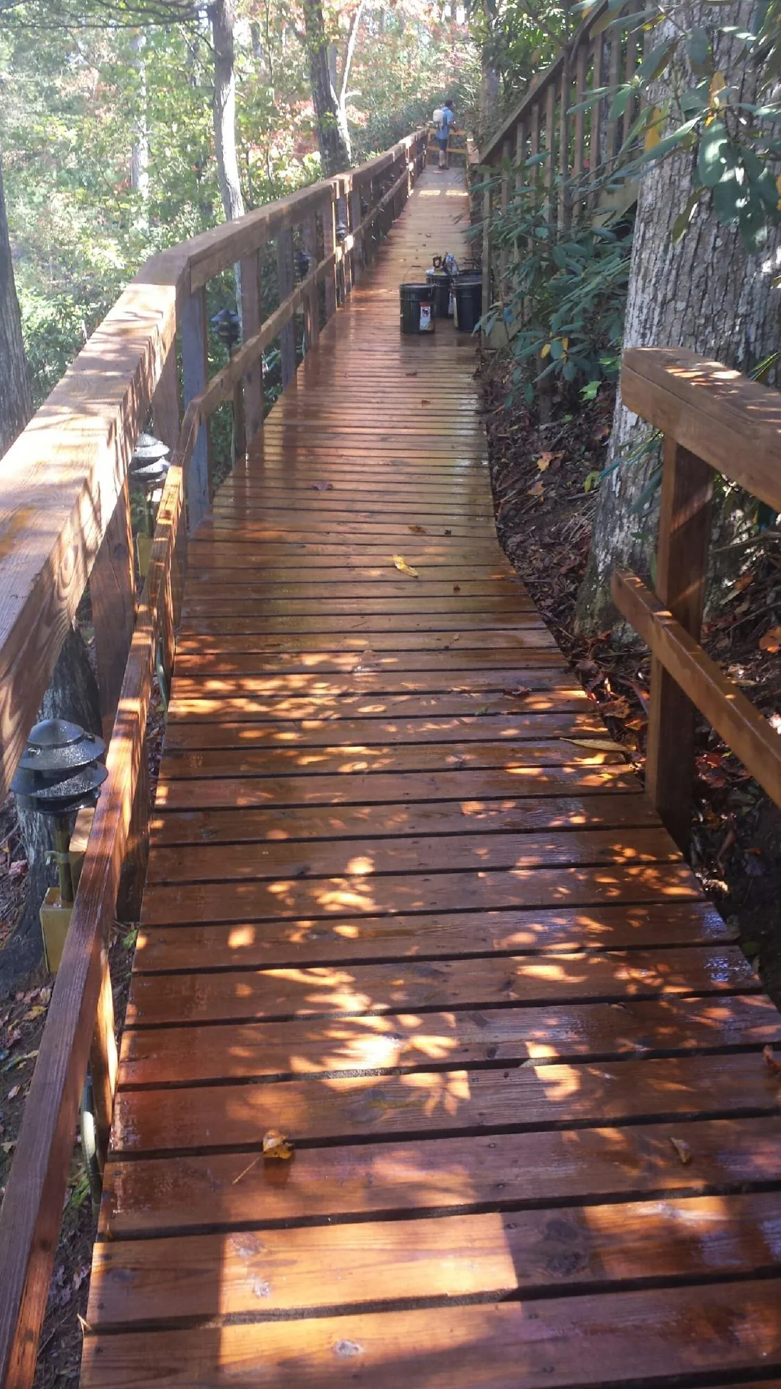 Freshly stained wood walkway winding through the woods in Glen Saint Mary